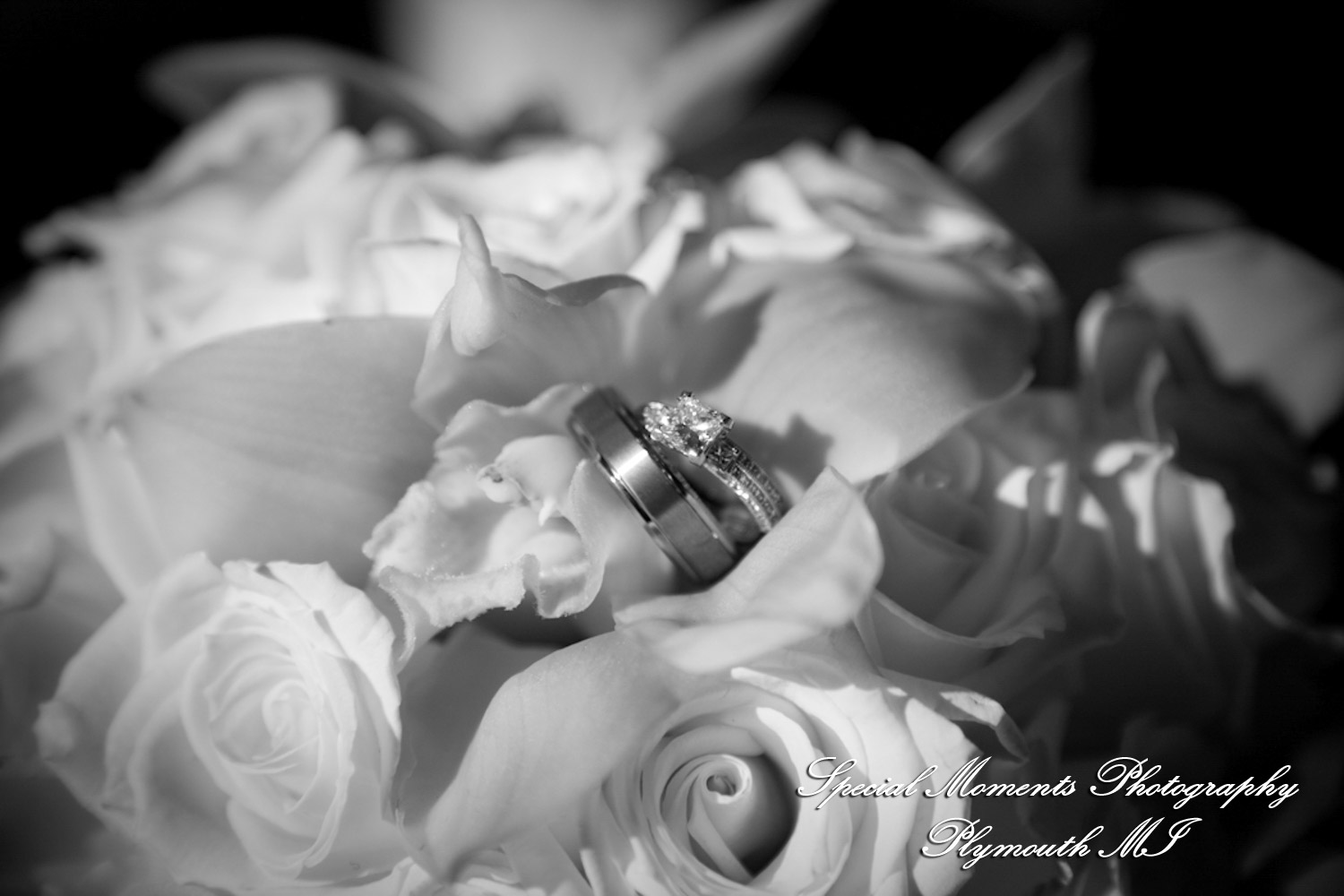 Rachelle & Matthew at The Palazzo Grande Shelby Twp. MI wedding photography
