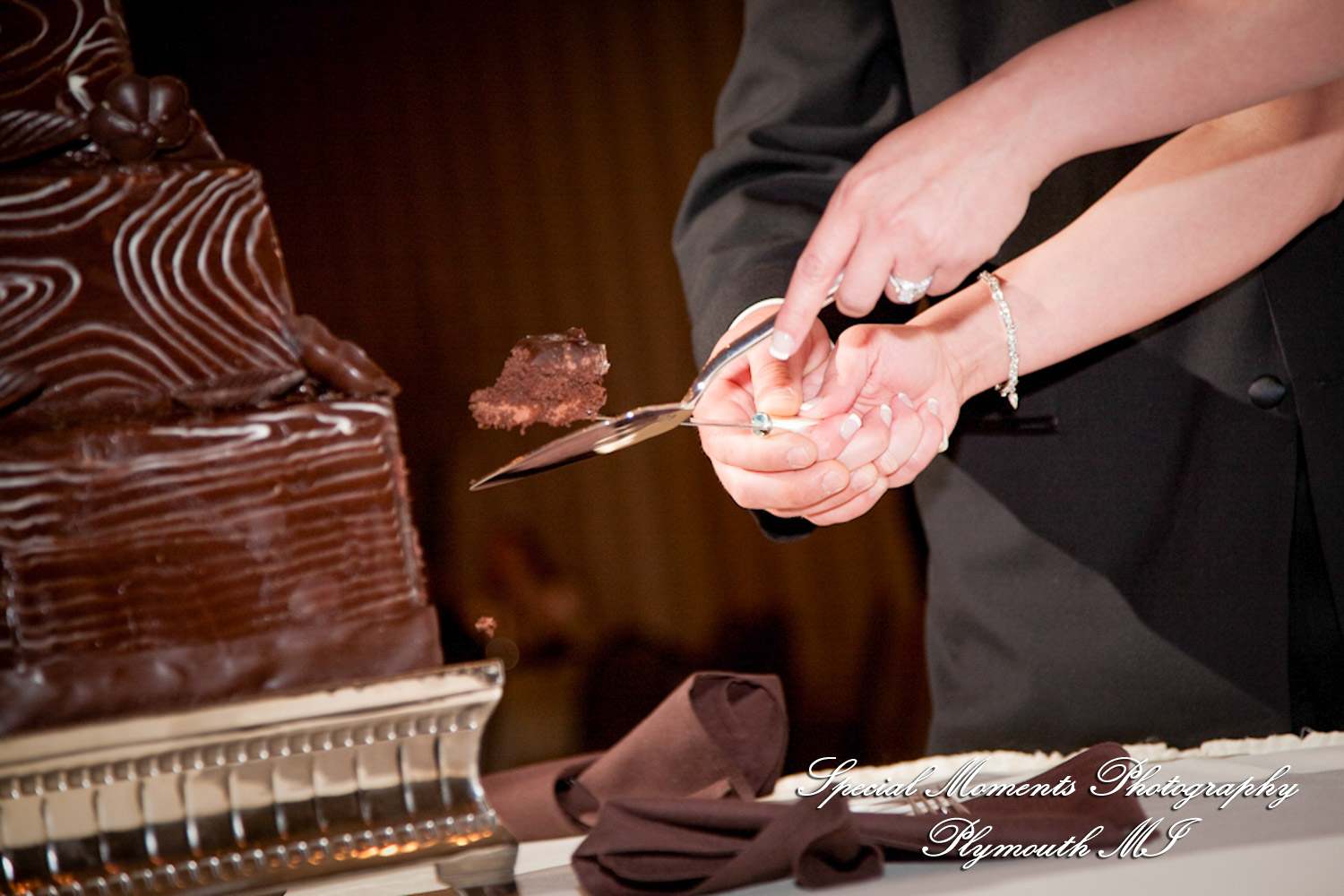 Rachelle & Matthew at The Palazzo Grande Shelby Twp. MI wedding photography