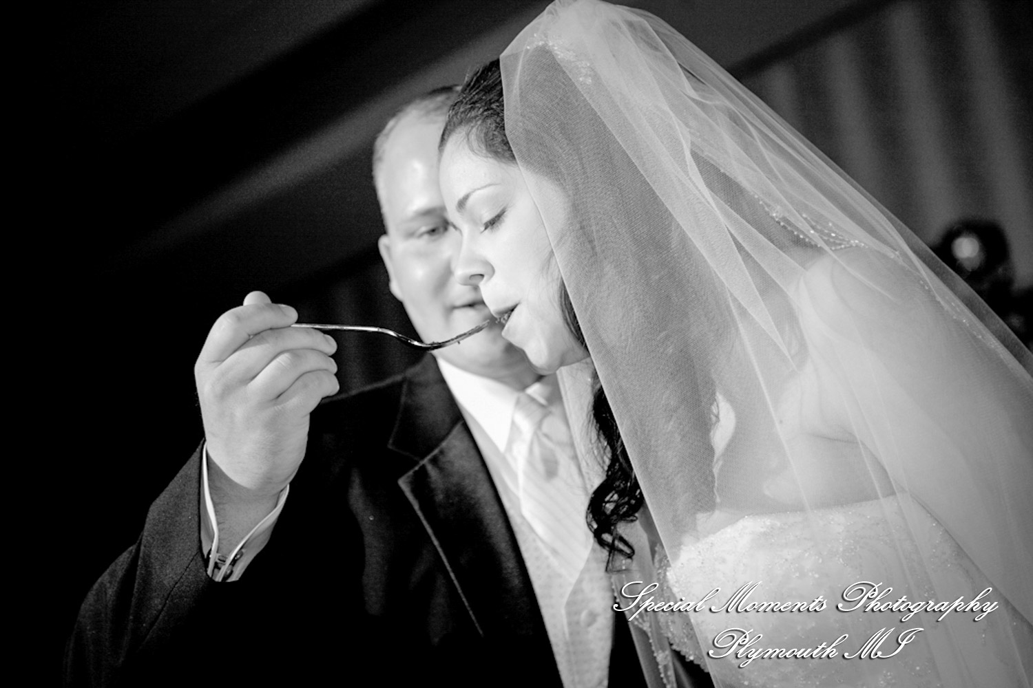 Rachelle & Matthew at The Palazzo Grande Shelby Twp. MI wedding photography