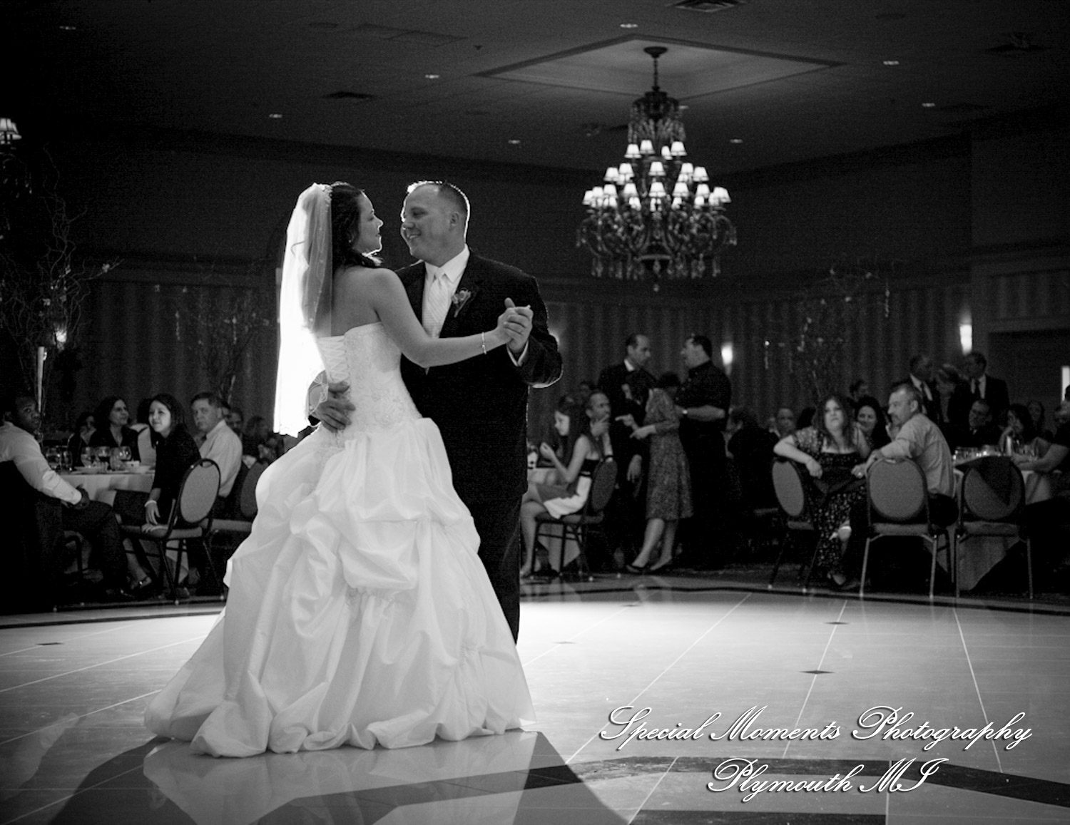 Rachelle & Matthew at The Palazzo Grande Shelby Twp. MI wedding photography