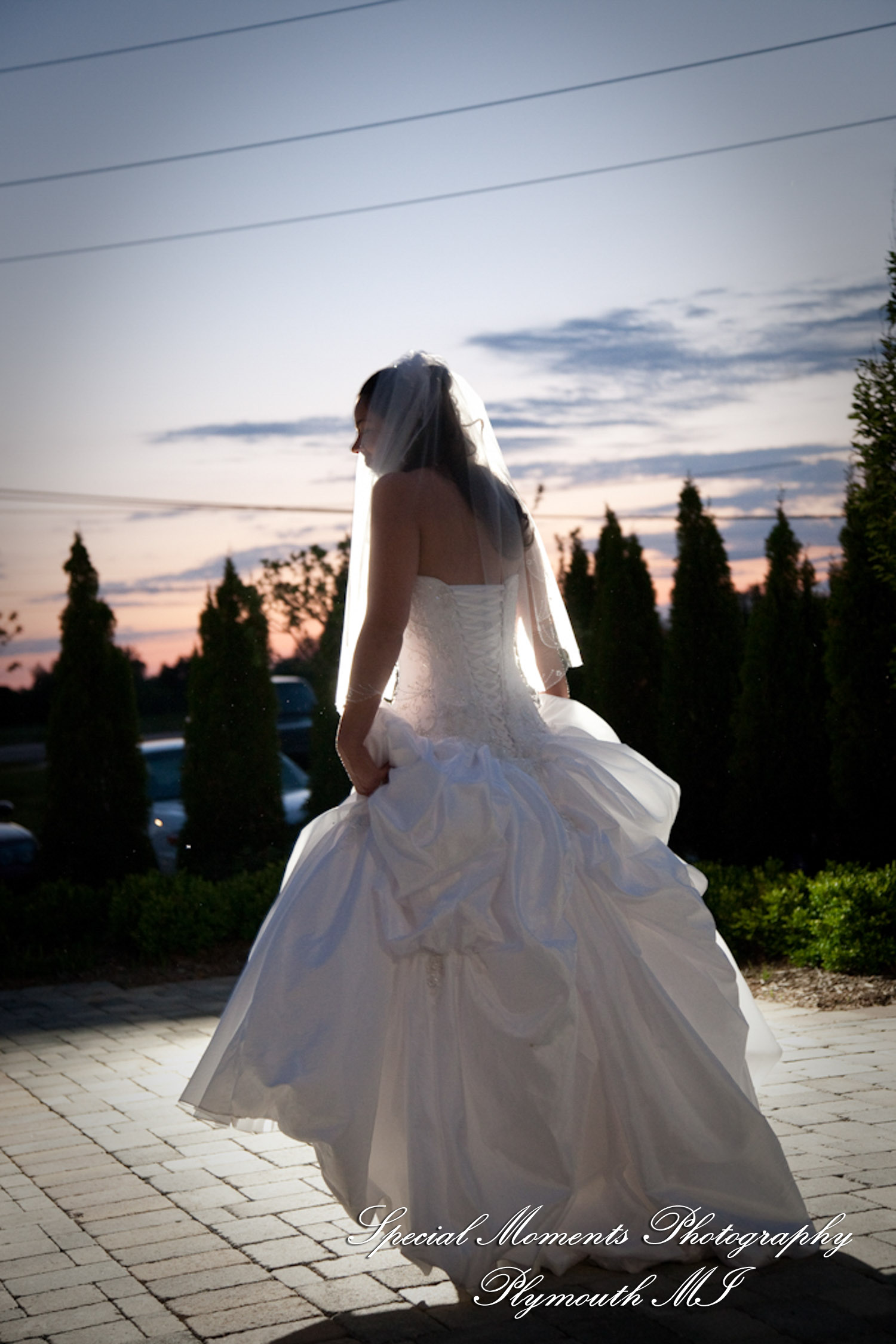 Rachelle & Matthew at The Palazzo Grande Shelby Twp. MI wedding photography