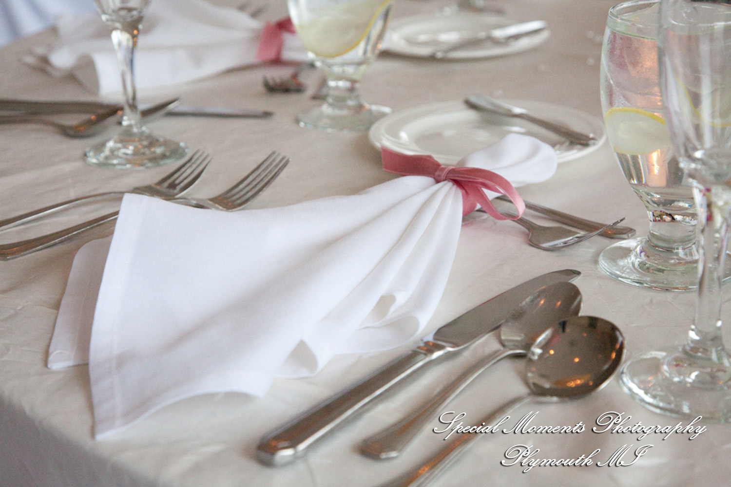 Emily & Jonathan at Grosse Pointe War Memorial Grosse Pointe Farms MI wedding photography