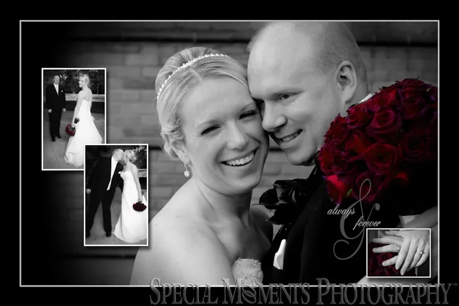 Summit on the Park wedding Canton