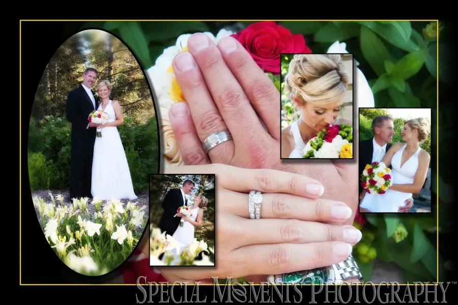 Matthaei Botanical Gardens wedding Ann Arbor