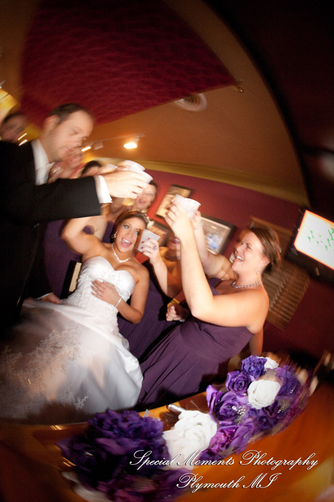 Stephanie & David at Mystic Creek Golf Club & Banquet Center Milford MI wedding photography