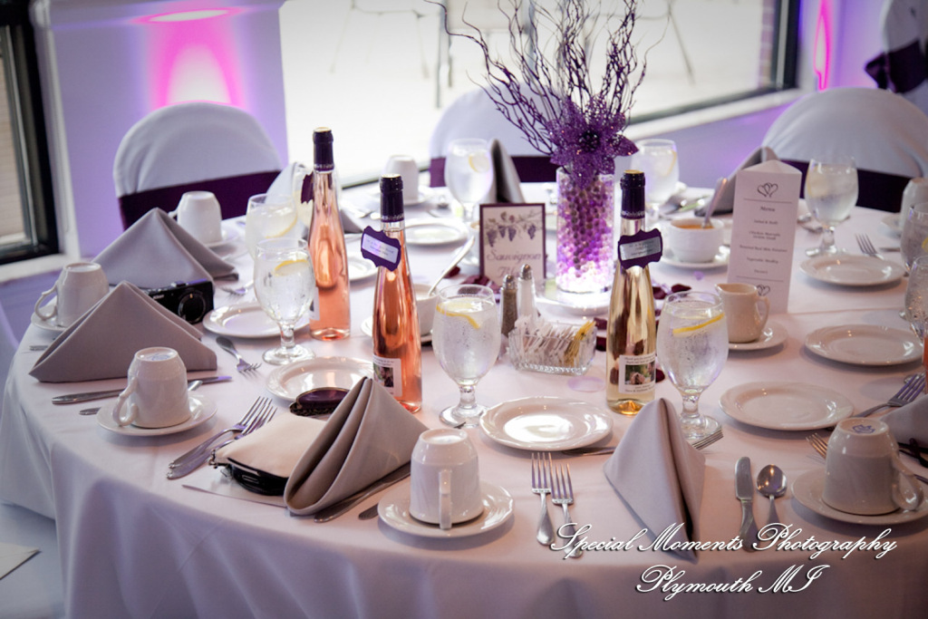 Stephanie & David at Mystic Creek Golf Club & Banquet Center Milford MI wedding photography