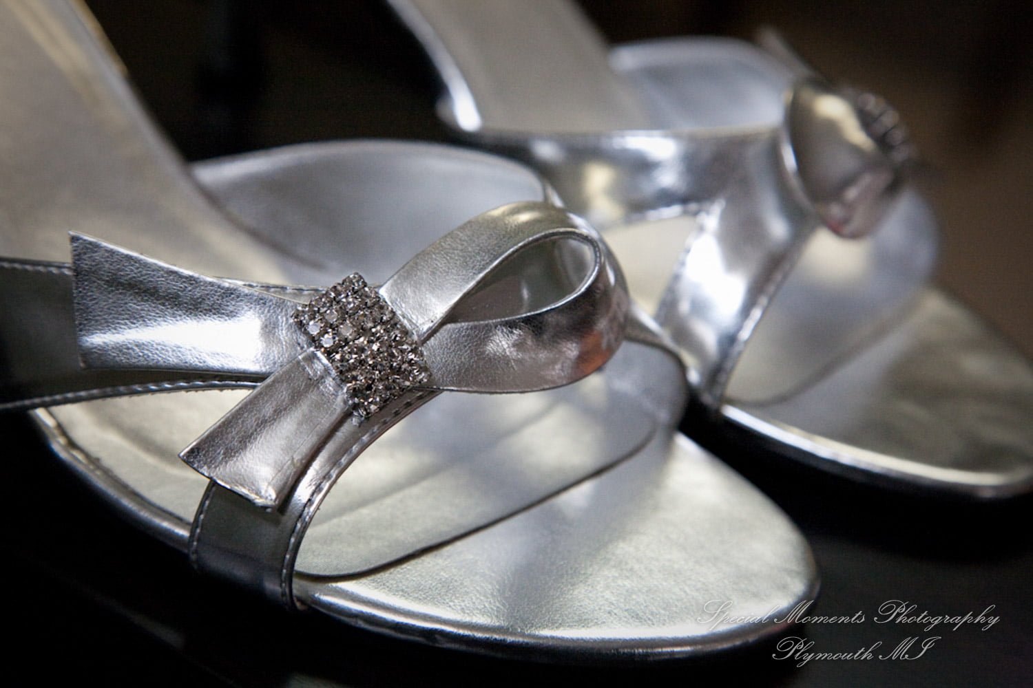 Faith Lutheran Brownstown MI wedding photograph