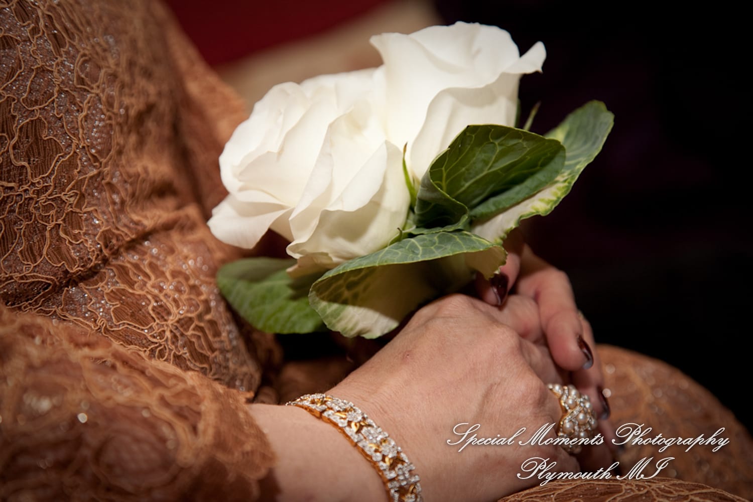 Townsend Hotel Birmingham MI wedding photograph