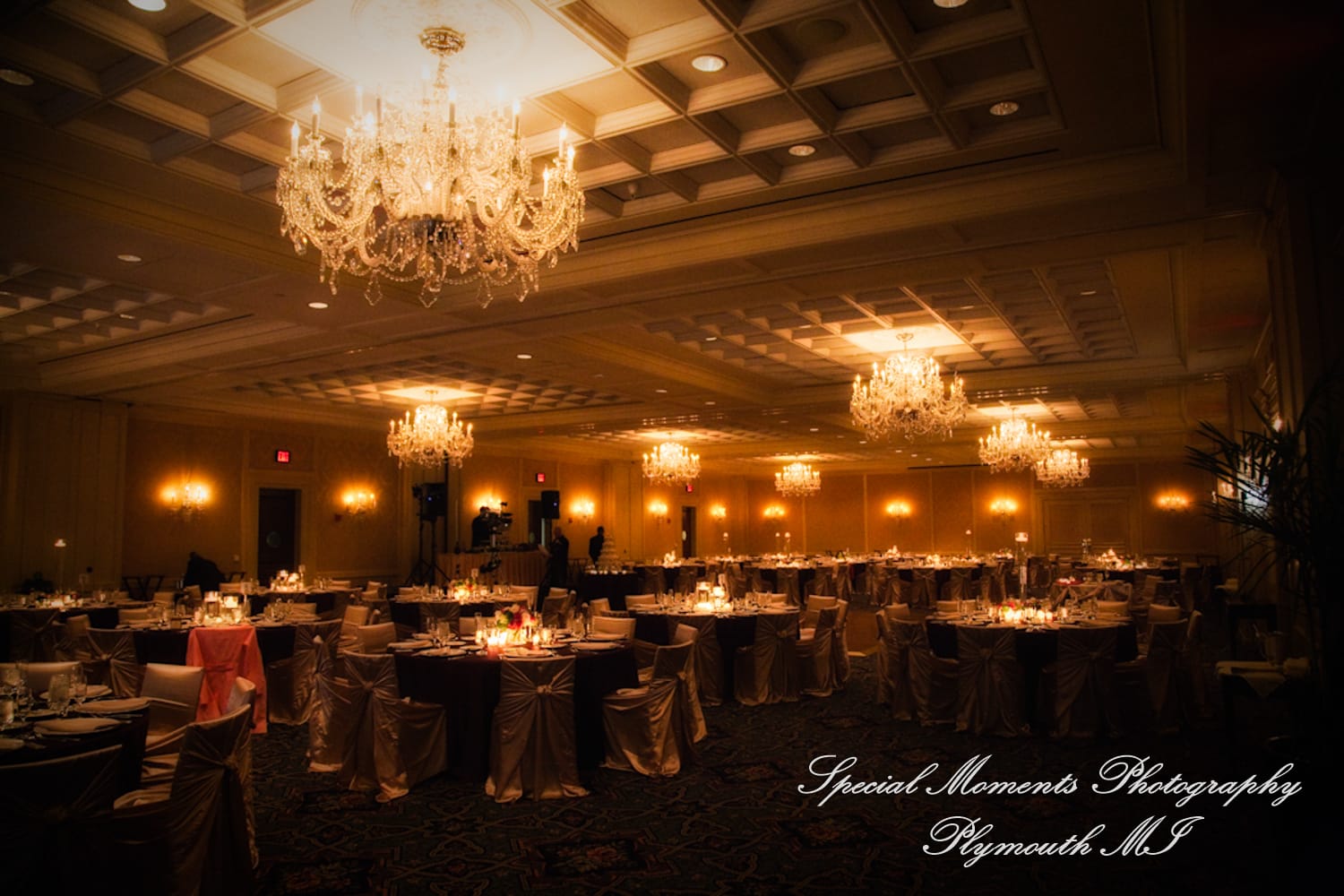 Townsend Hotel Birmingham MI wedding photograph