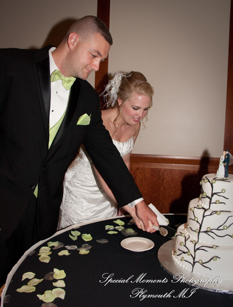 Meagan & Stephen at Burton Manor Livonia MI wedding photography