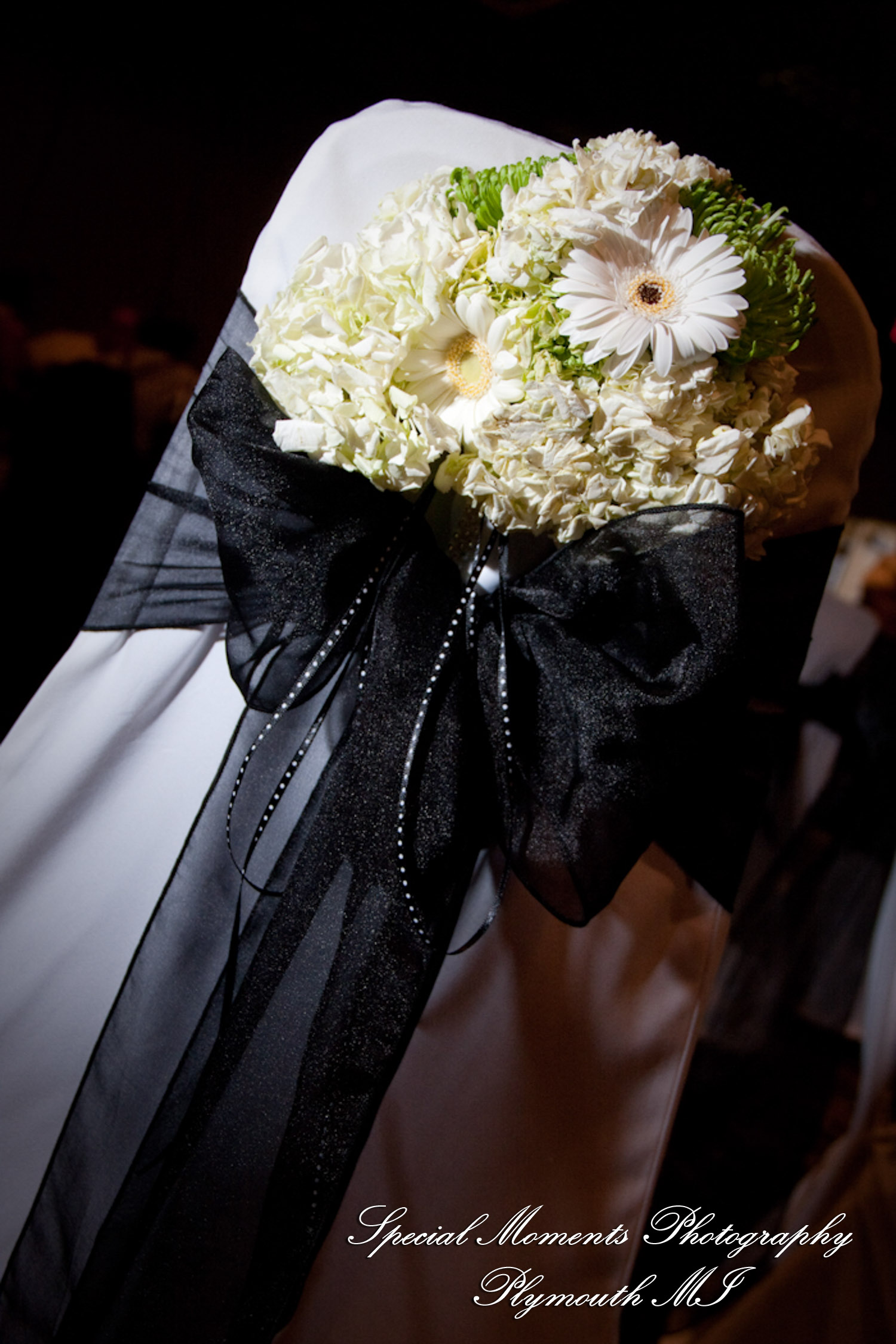 Meagan & Stephen at Burton Manor Livonia MI wedding photography