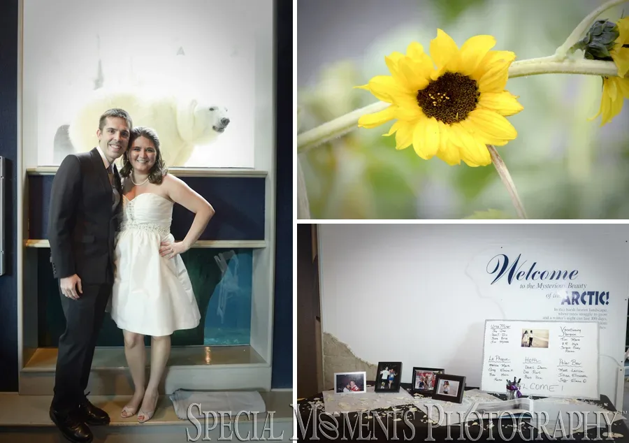 Toledo Zoo wedding reception