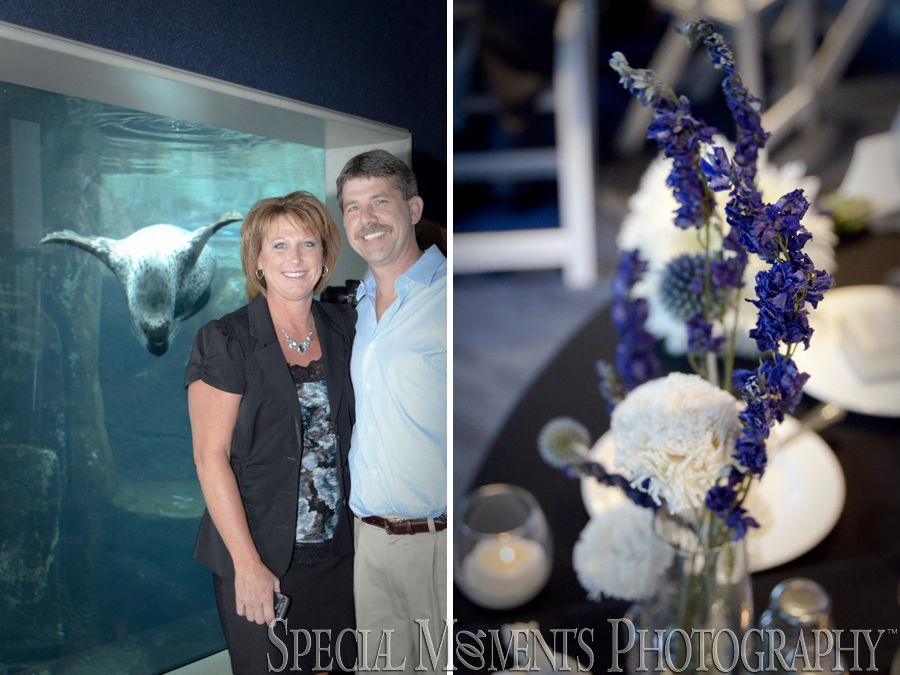 toledo zoo aquarium wedding