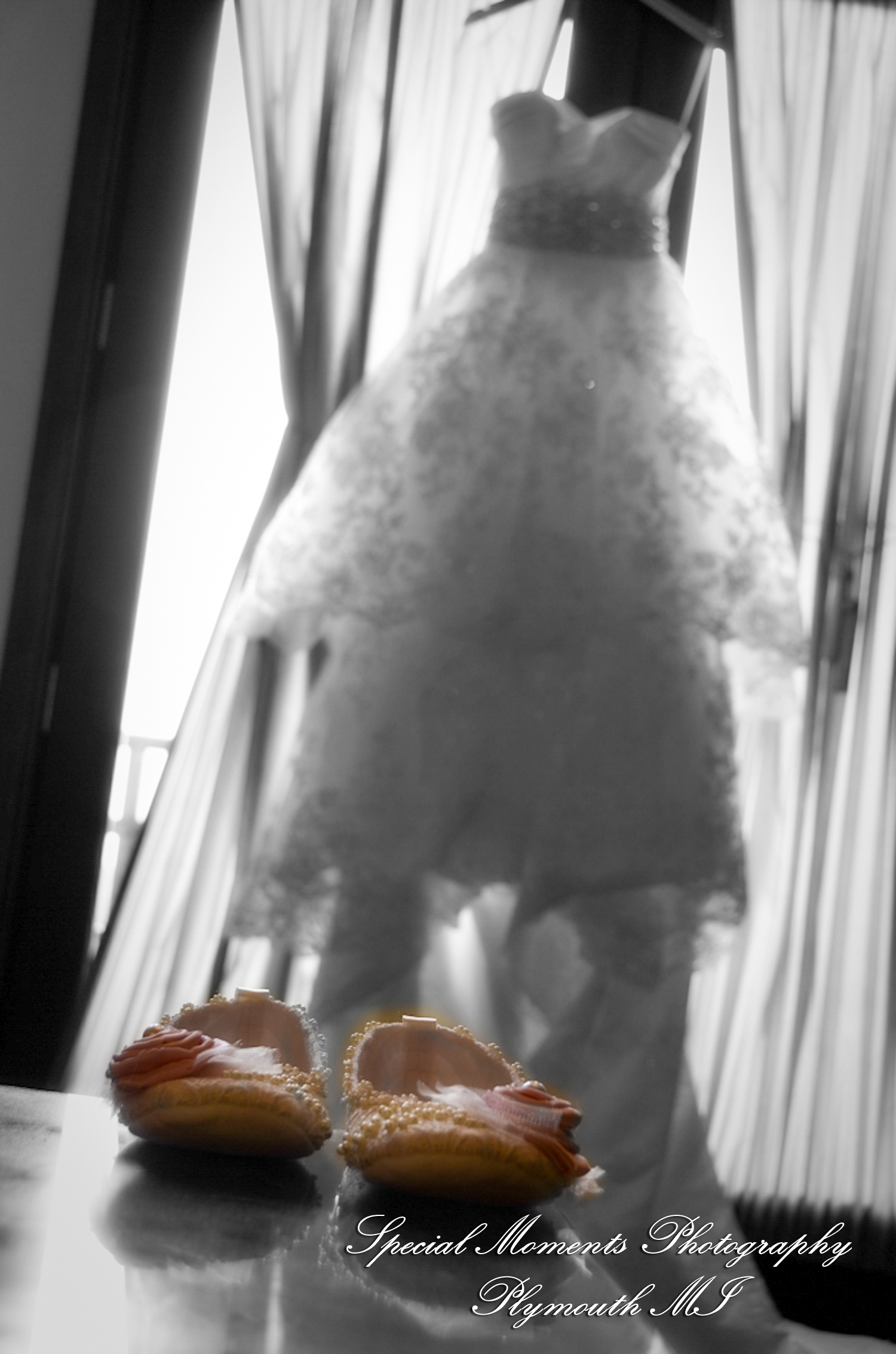 Arielle & Dave at Ss. Mary & Joseph Chapel Plymouth MI wedding photography