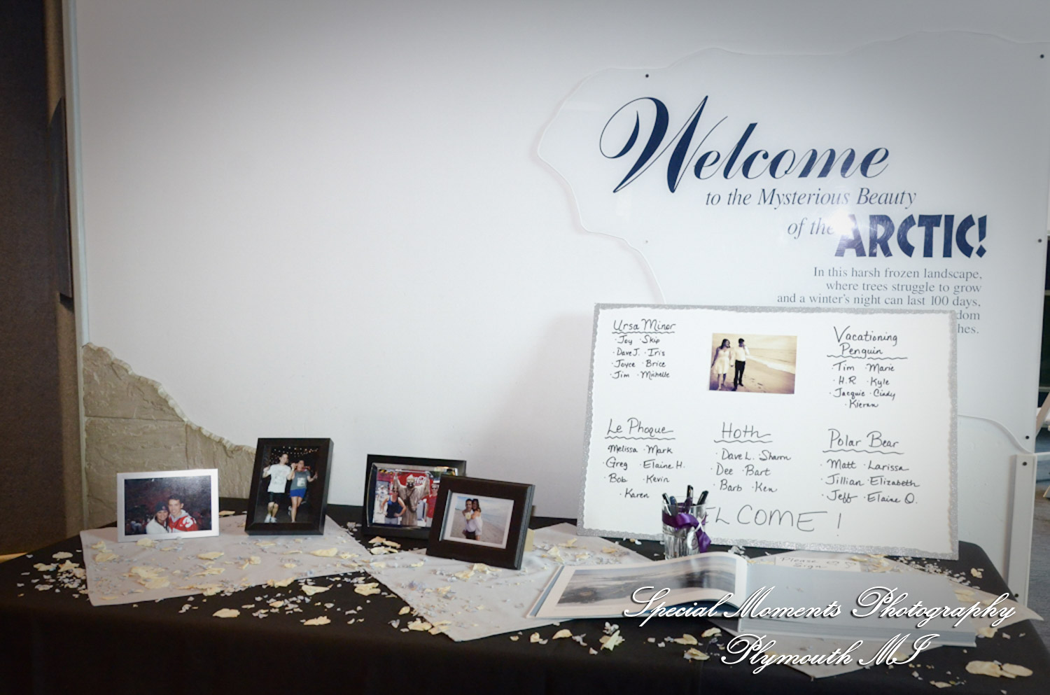 Rachel & Steven at Polar Bear Exhibit Toledo Zoo Toledo OH wedding photography