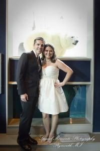 Rachel & Steven at Polar Bear Exhibit Toledo Zoo Toledo OH wedding photography