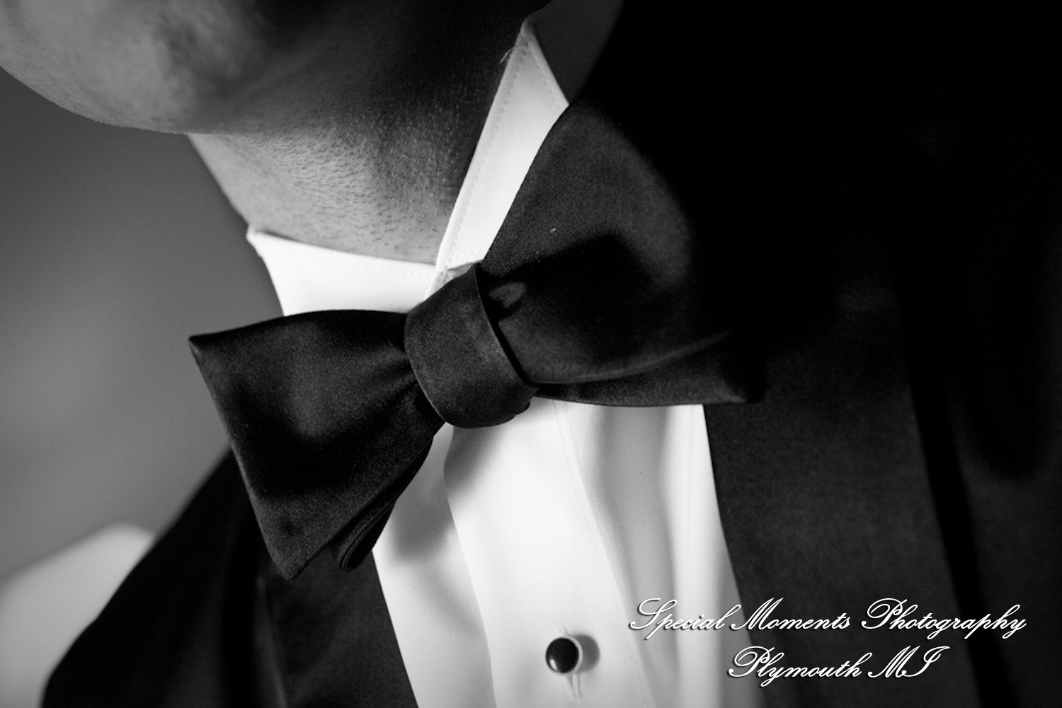 Arielle & Dave at Ss. Mary & Joseph Chapel Plymouth MI wedding photography