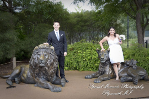 Rachel & Steven at Polar Bear Exhibit Toledo Zoo Toledo OH wedding photography