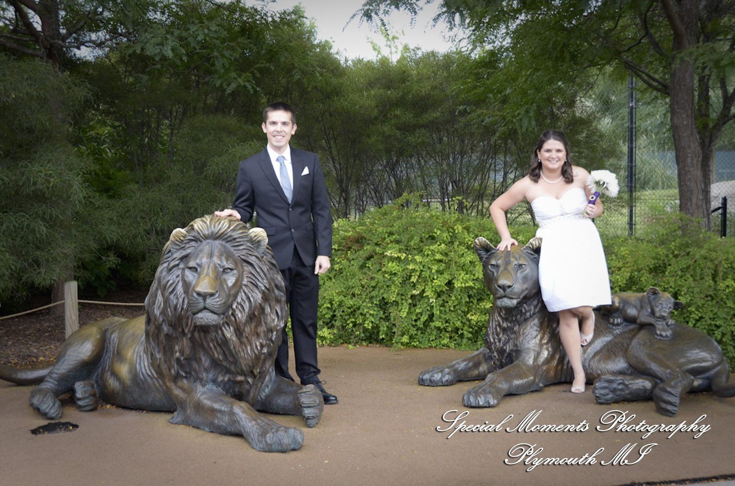 Rachel & Steven at Polar Bear Exhibit Toledo Zoo Toledo OH wedding photography