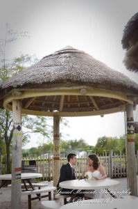 Rachel & Steven at Polar Bear Exhibit Toledo Zoo Toledo OH wedding photography