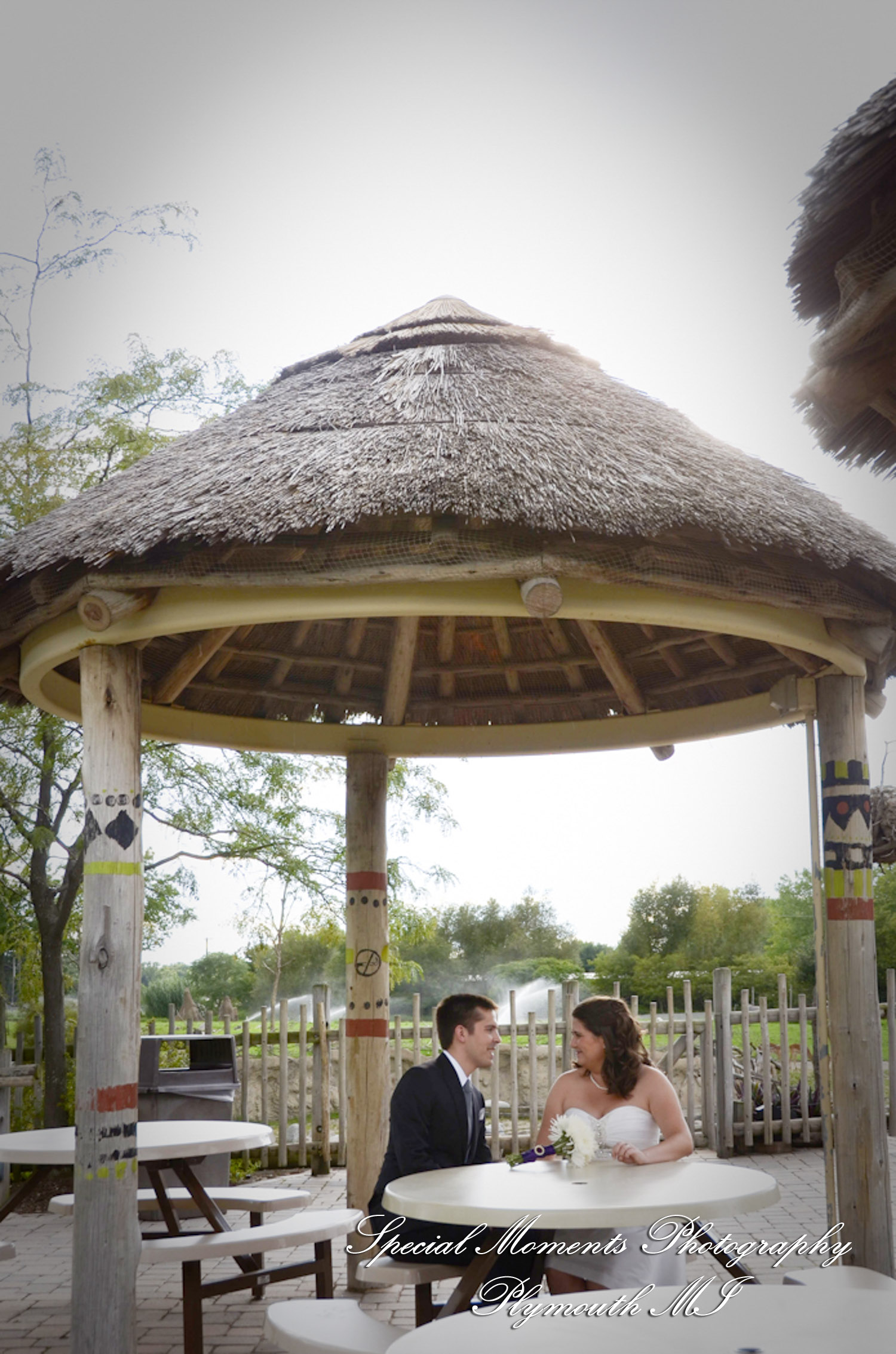 Rachel & Steven at Polar Bear Exhibit Toledo Zoo Toledo OH wedding photography