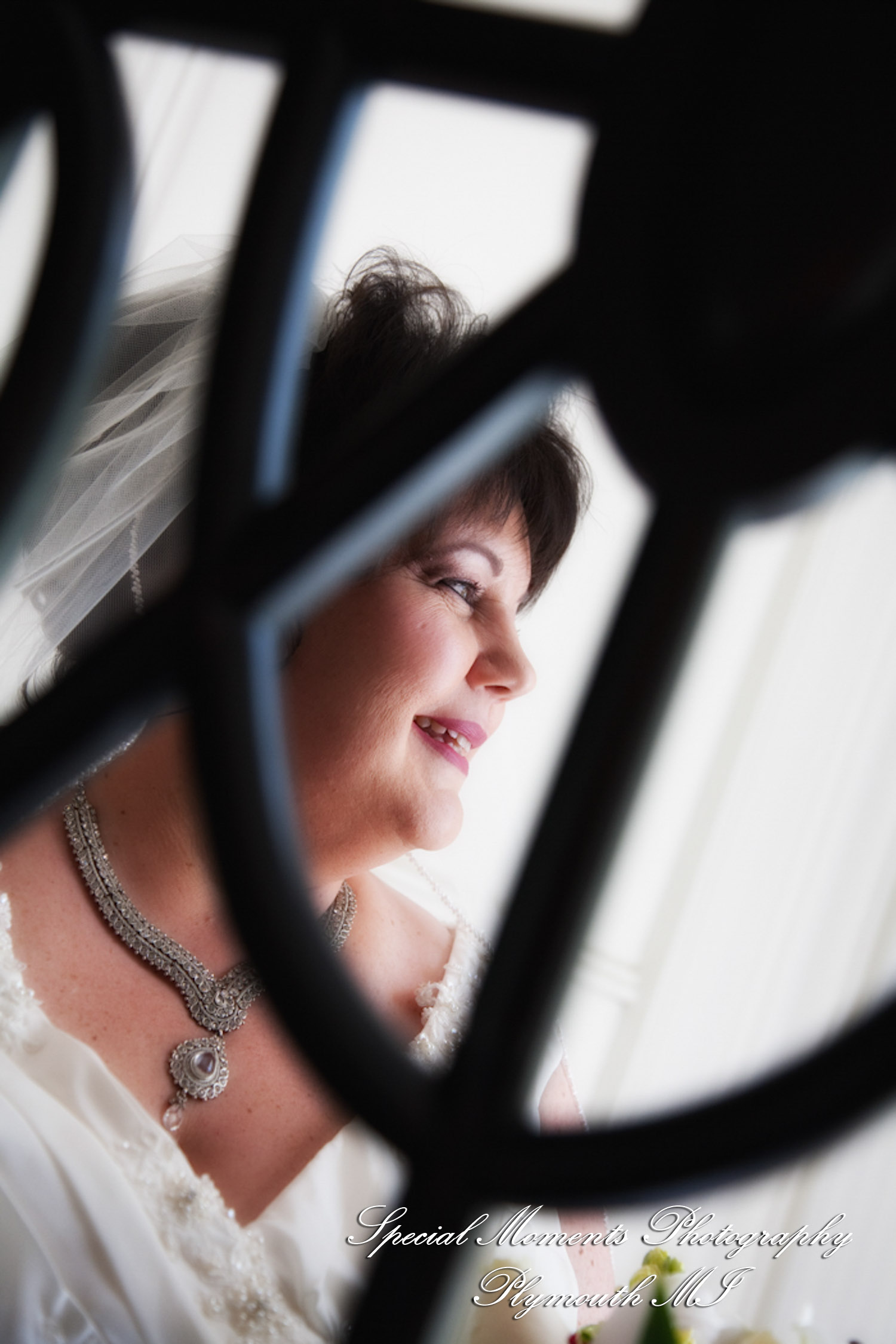 Karen & Rick at Dearborn Inn Autograph Collection Dearborn MI wedding photography