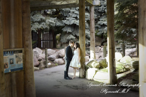 Rachel & Steven at Polar Bear Exhibit Toledo Zoo Toledo OH wedding photography