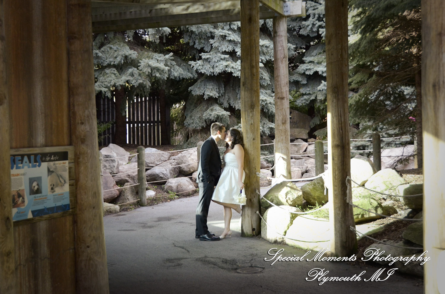 Rachel & Steven at Polar Bear Exhibit Toledo Zoo Toledo OH wedding photography
