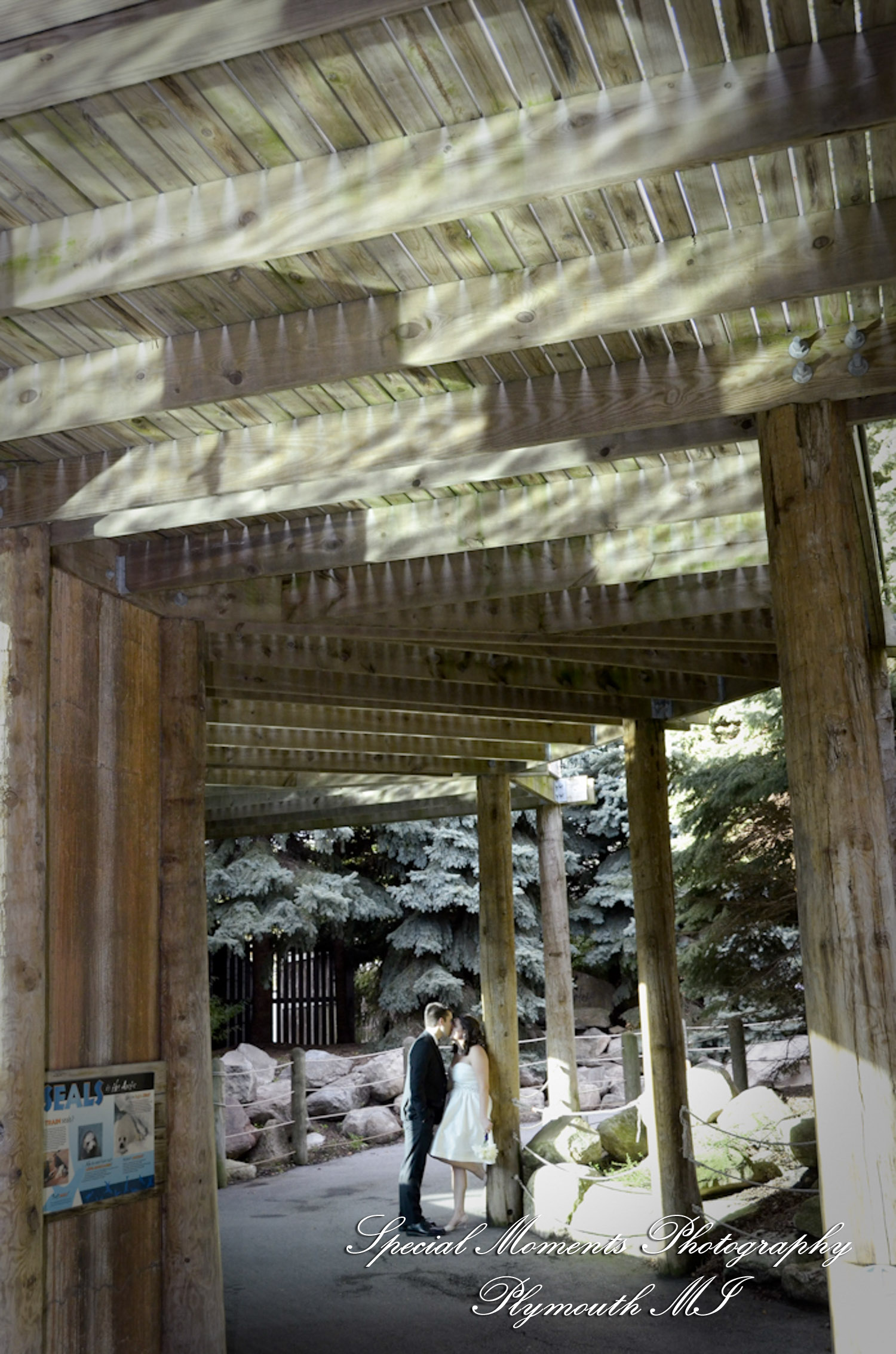 Rachel & Steven at Polar Bear Exhibit Toledo Zoo Toledo OH wedding photography