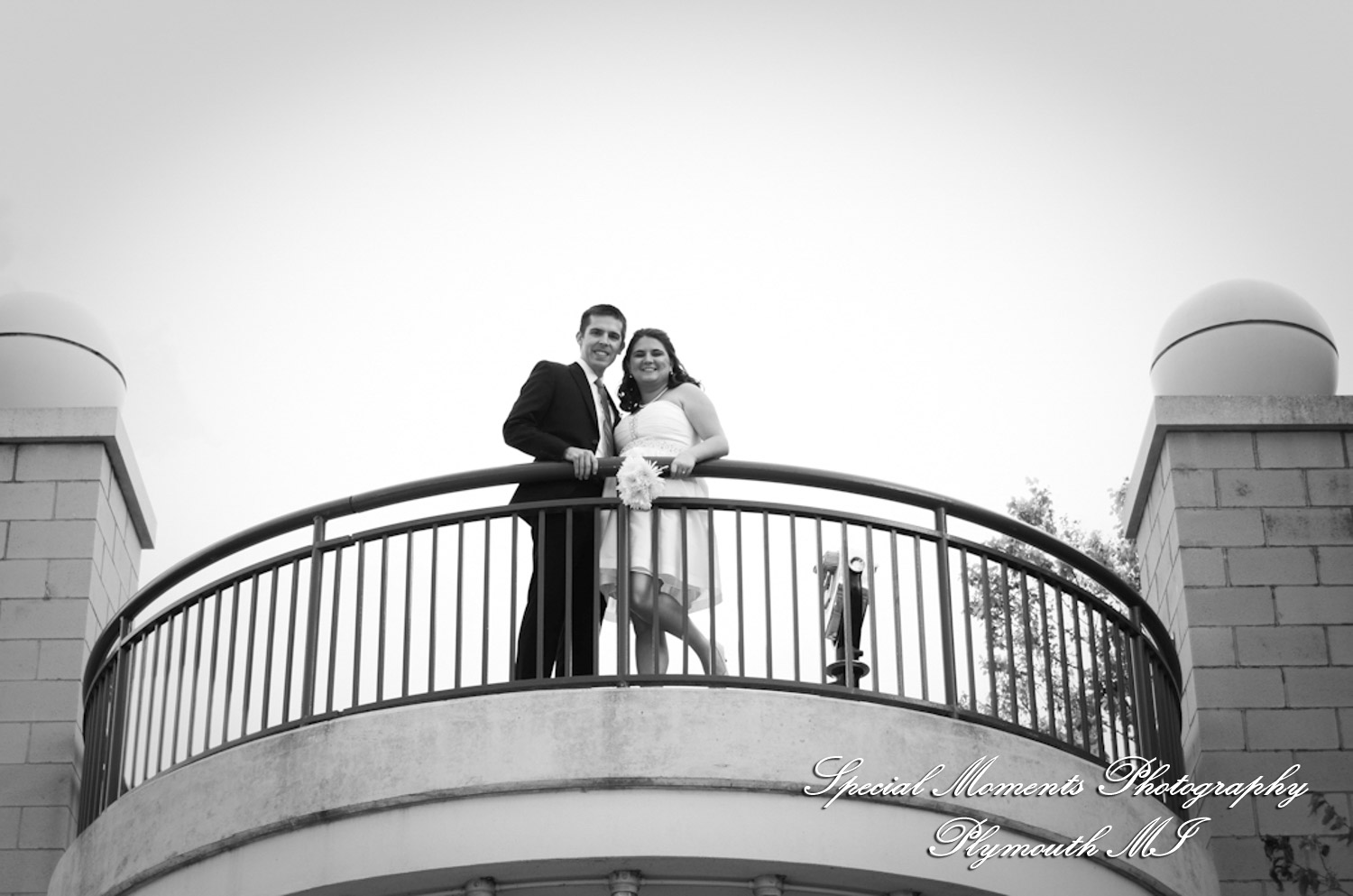 Rachel & Steven at Polar Bear Exhibit Toledo Zoo Toledo OH wedding photography