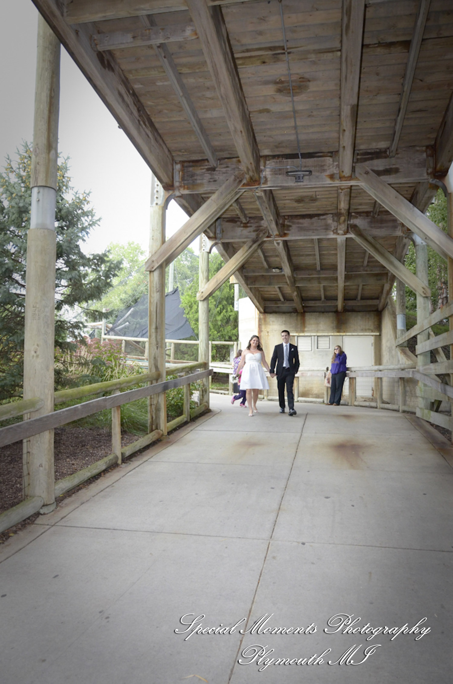 Rachel & Steven at Polar Bear Exhibit Toledo Zoo Toledo OH wedding photography