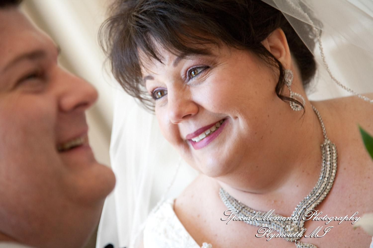 Karen & Rick at Dearborn Inn Autograph Collection Dearborn MI wedding photography