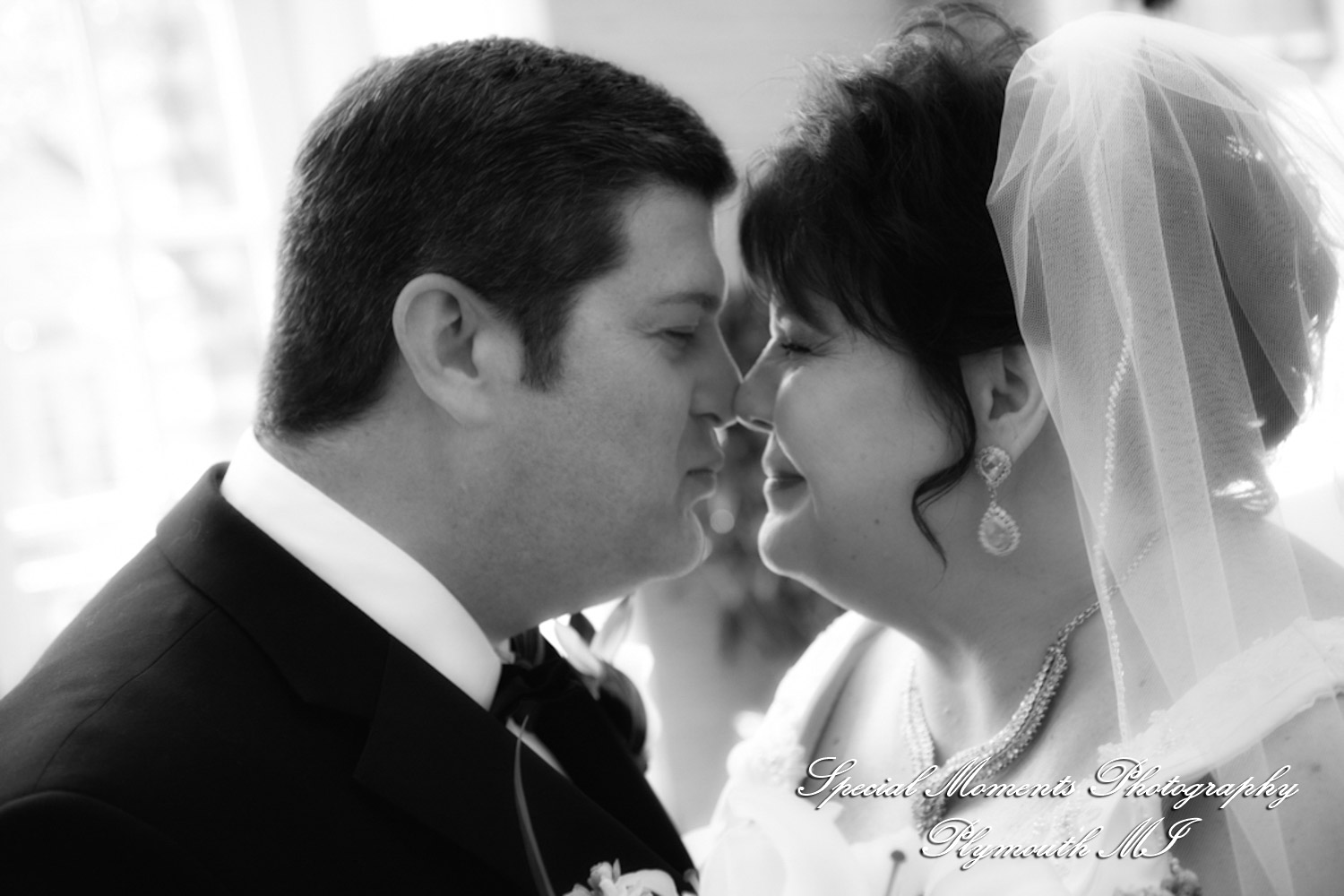 Karen & Rick at Dearborn Inn Autograph Collection Dearborn MI wedding photography