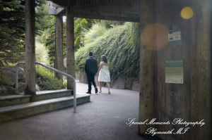Rachel & Steven at Polar Bear Exhibit Toledo Zoo Toledo OH wedding photography