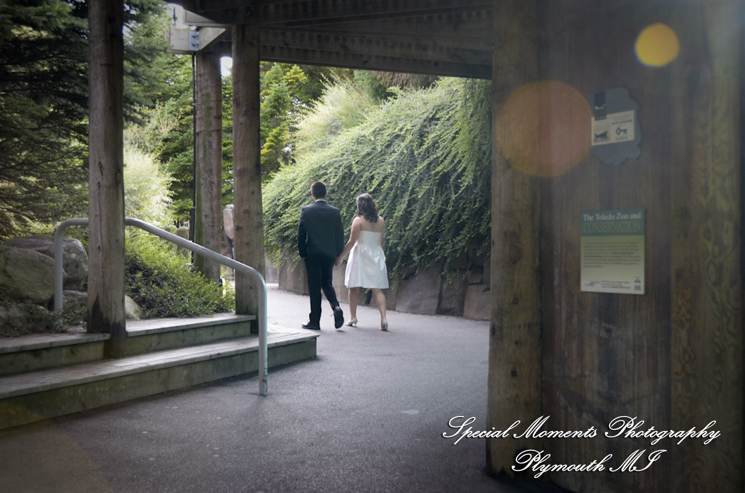 Rachel & Steven at Polar Bear Exhibit Toledo Zoo Toledo OH wedding photography