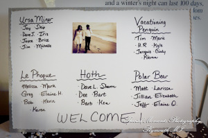 Rachel & Steven at Polar Bear Exhibit Toledo Zoo Toledo OH wedding photography