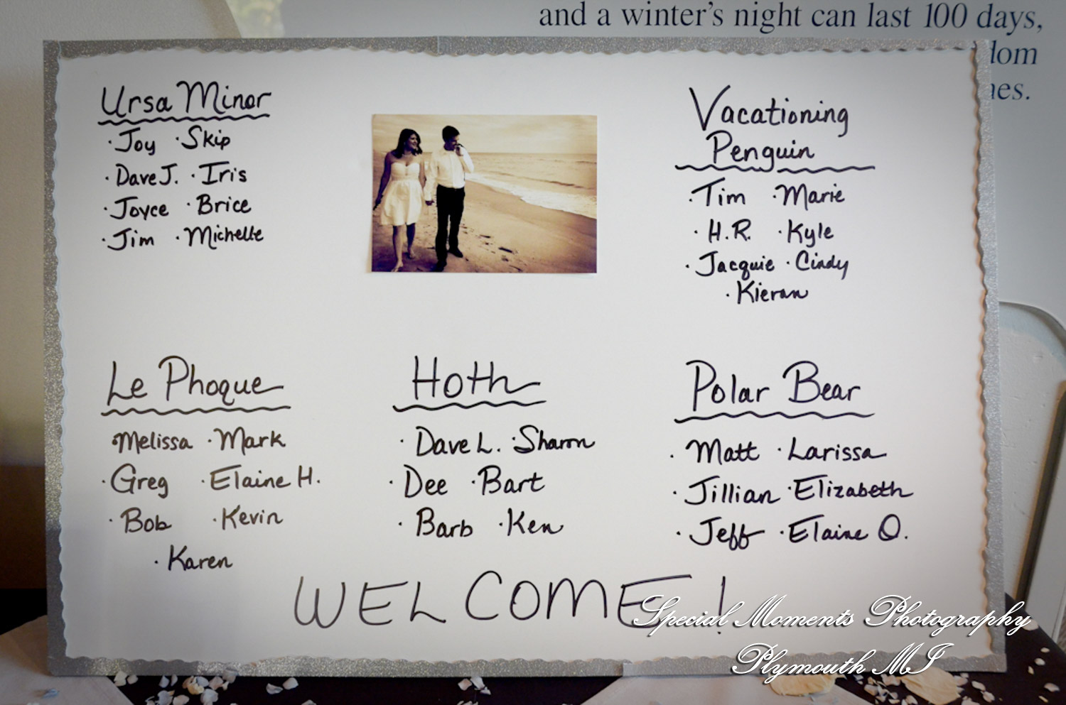 Rachel & Steven at Polar Bear Exhibit Toledo Zoo Toledo OH wedding photography