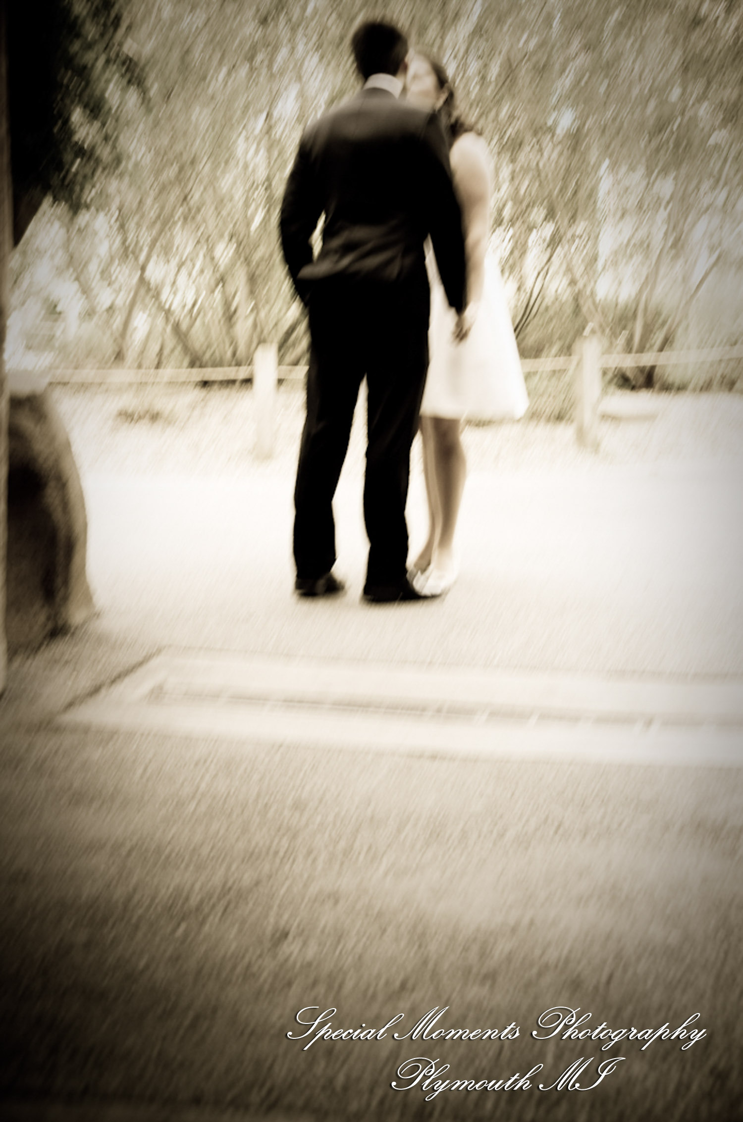 Rachel & Steven at Polar Bear Exhibit Toledo Zoo Toledo OH wedding photography