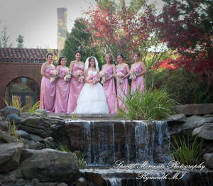 Arielle & Dave at Ss. Mary & Joseph Chapel Plymouth MI wedding photography