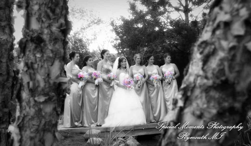 Arielle & Dave at Ss. Mary & Joseph Chapel Plymouth MI wedding photography