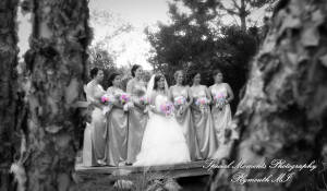 Arielle & Dave at Ss. Mary & Joseph Chapel Plymouth MI wedding photography