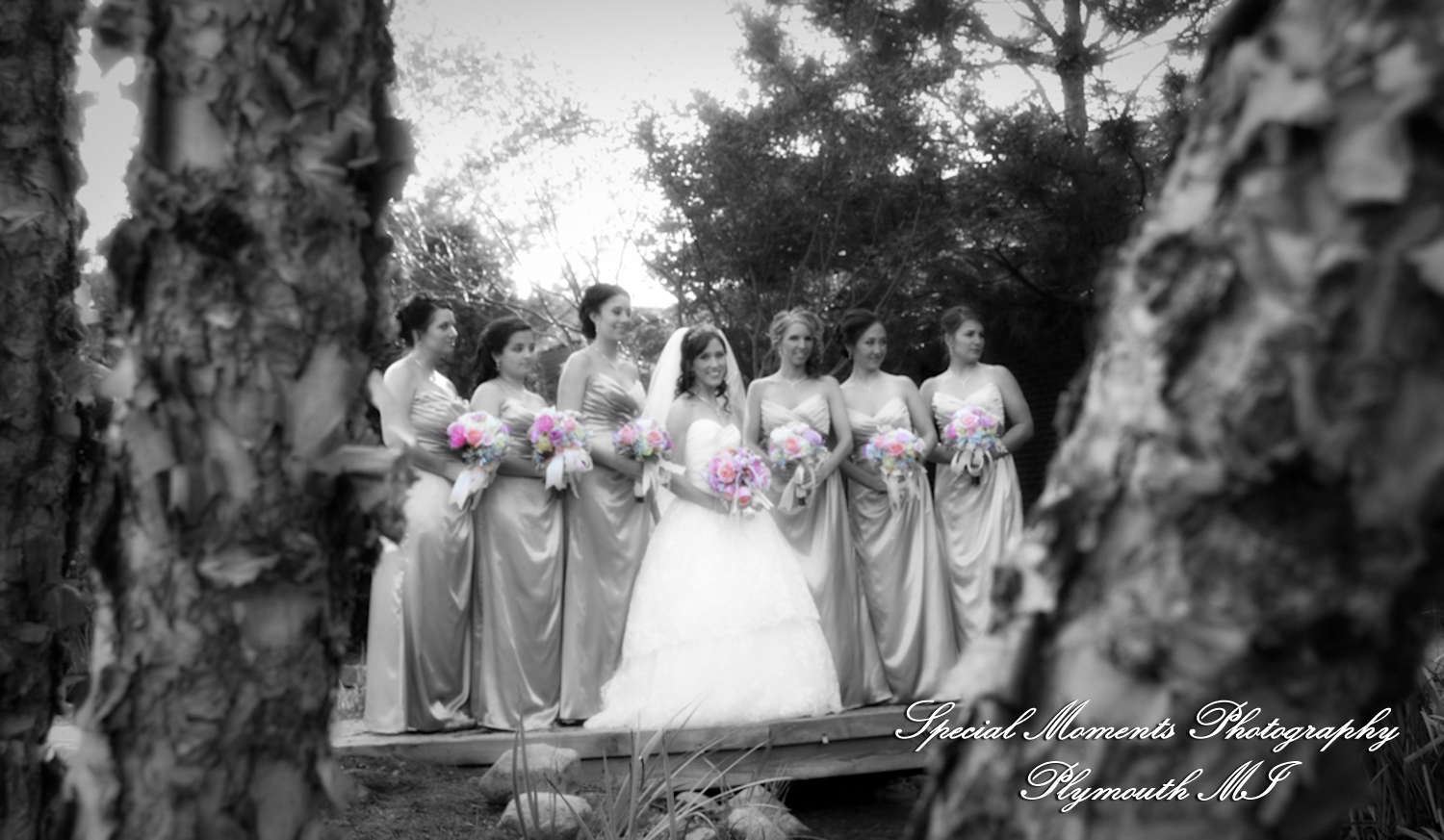 Arielle & Dave at Ss. Mary & Joseph Chapel Plymouth MI wedding photography