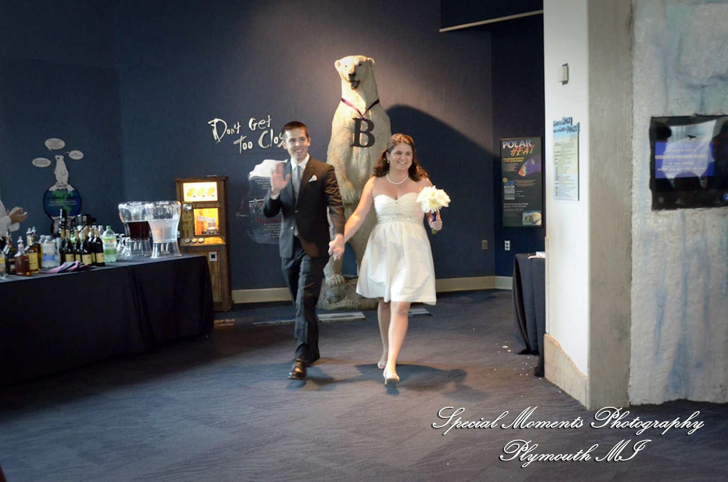 Rachel & Steven at Polar Bear Exhibit Toledo Zoo Toledo OH wedding photography