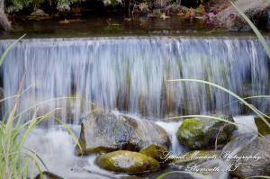 Arielle & Dave at Ss. Mary & Joseph Chapel Plymouth MI wedding photography