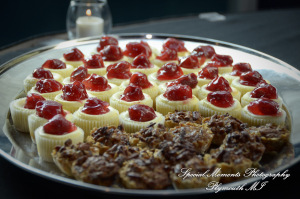 Rachel & Steven at Polar Bear Exhibit Toledo Zoo Toledo OH wedding photography