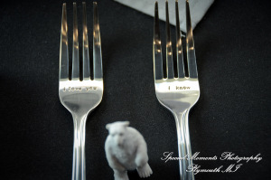 Rachel & Steven at Polar Bear Exhibit Toledo Zoo Toledo OH wedding photography