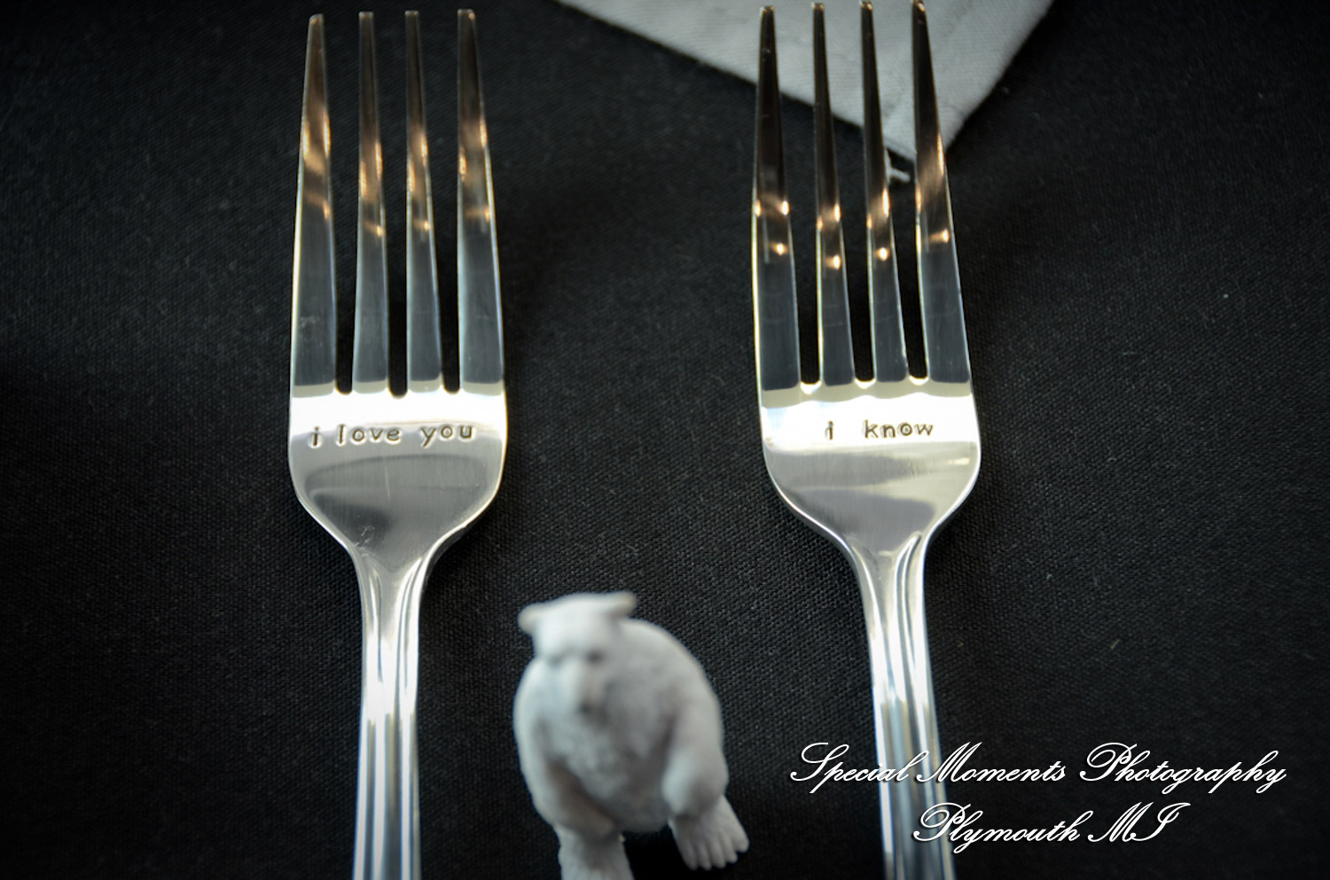 Rachel & Steven at Polar Bear Exhibit Toledo Zoo Toledo OH wedding photography