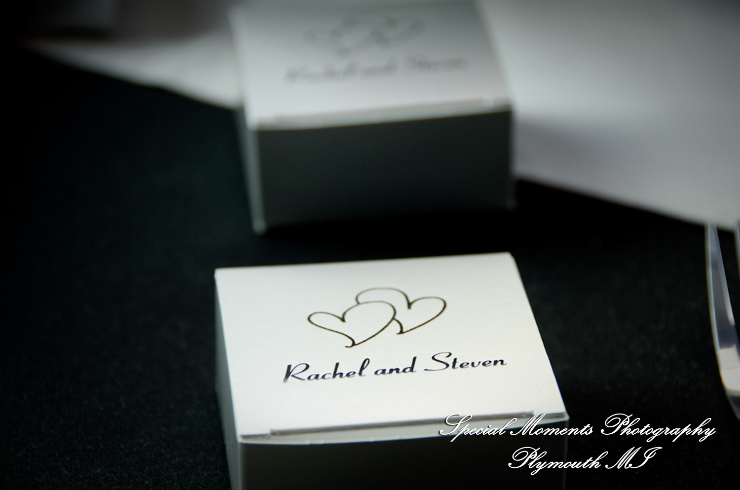 Rachel & Steven at Polar Bear Exhibit Toledo Zoo Toledo OH wedding photography