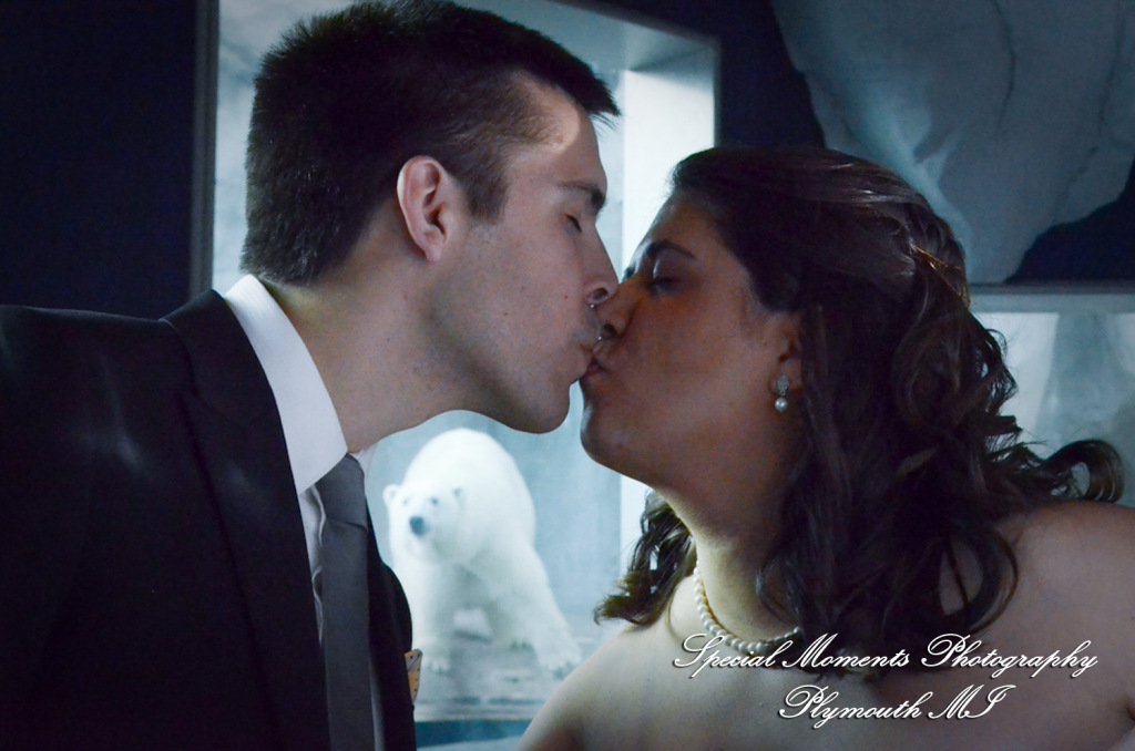 Rachel & Steven at Polar Bear Exhibit Toledo Zoo Toledo OH wedding photography