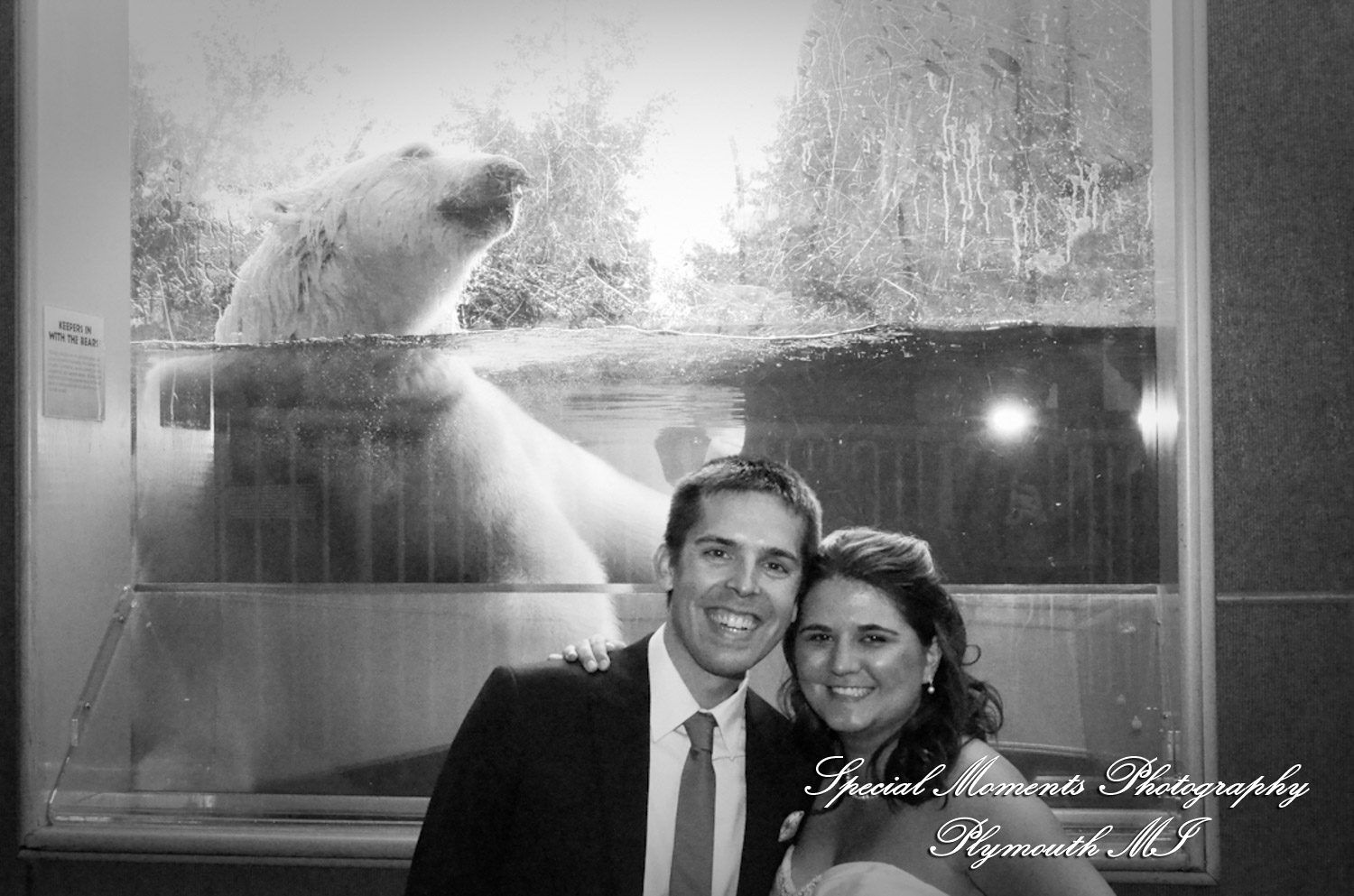 Rachel & Steven at Polar Bear Exhibit Toledo Zoo Toledo OH wedding photography